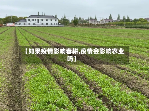 【如果疫情影响春耕,疫情会影响农业吗】-第2张图片