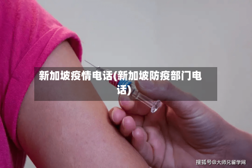 新加坡疫情电话(新加坡防疫部门电话)-第2张图片