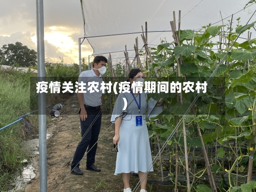 疫情关注农村(疫情期间的农村)-第2张图片