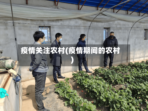 疫情关注农村(疫情期间的农村)