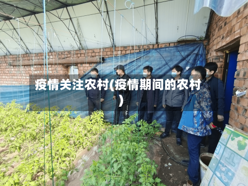 疫情关注农村(疫情期间的农村)-第3张图片