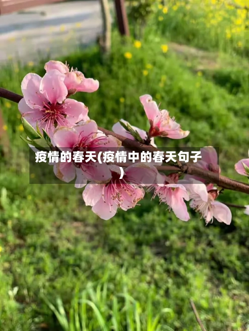 疫情的春天(疫情中的春天句子)
