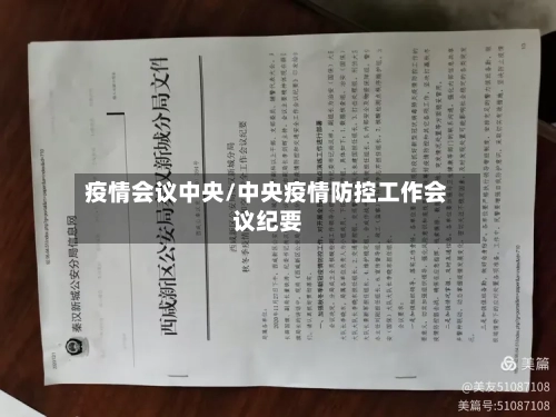 疫情会议中央/中央疫情防控工作会议纪要-第2张图片
