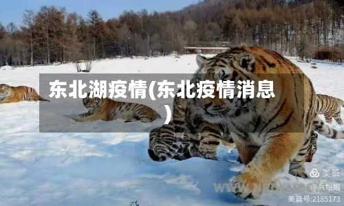东北湖疫情(东北疫情消息)-第2张图片