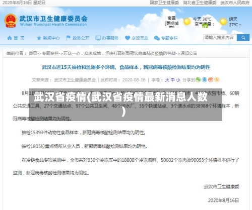 武汉省疫情(武汉省疫情最新消息人数)