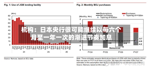 机构：日本央行很可能继续以每六个月至一年一次的渐进节奏加息