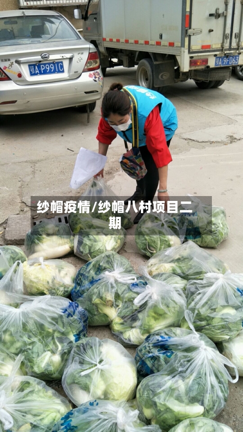 纱帽疫情/纱帽八村项目二期-第2张图片