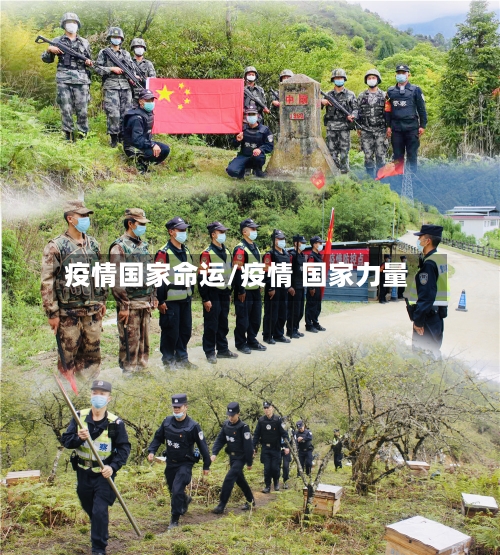 疫情国家命运/疫情 国家力量