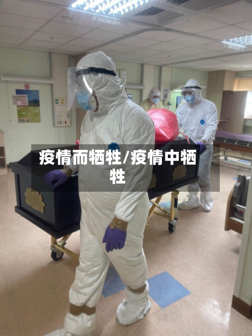疫情而牺牲/疫情中牺牲-第2张图片