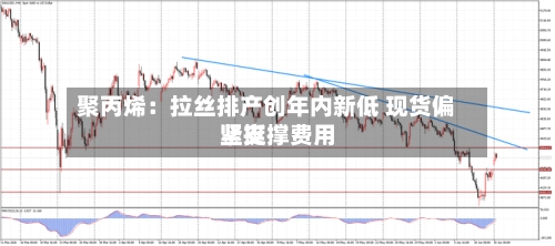 聚丙烯：拉丝排产创年内新低 现货偏紧支撑费用坚挺