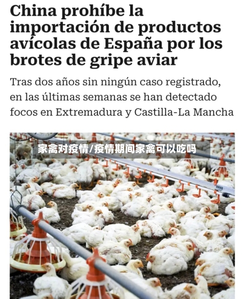 家禽对疫情/疫情期间家禽可以吃吗