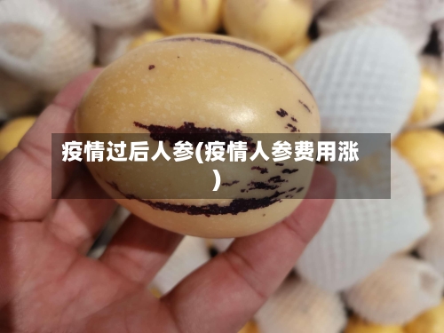 疫情过后人参(疫情人参费用涨)