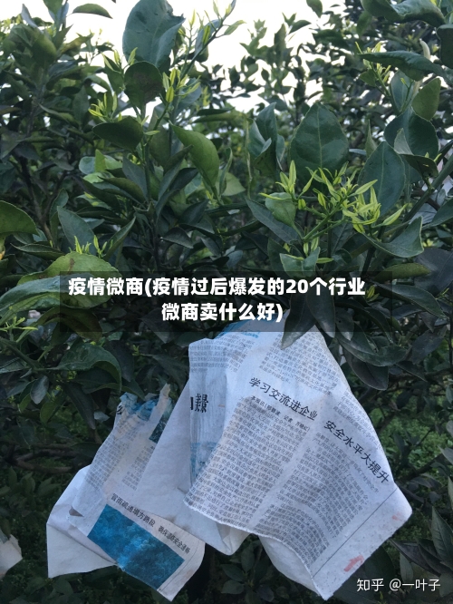 疫情微商(疫情过后爆发的20个行业微商卖什么好)-第2张图片