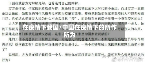在疫情下我国/中国在疫情下的所作所为