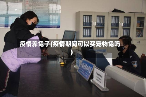 疫情养兔子(疫情期间可以买宠物兔吗)