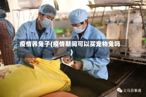 疫情养兔子(疫情期间可以买宠物兔吗)-第2张图片