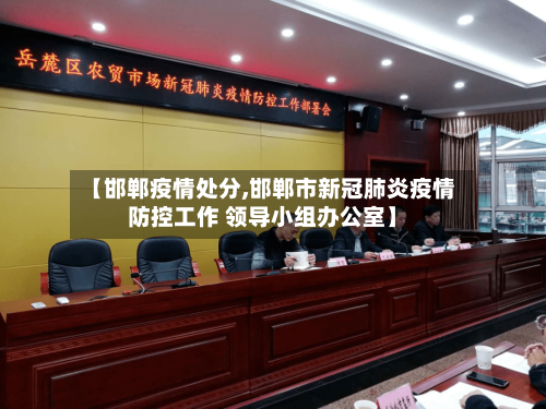 【邯郸疫情处分,邯郸市新冠肺炎疫情防控工作 领导小组办公室】