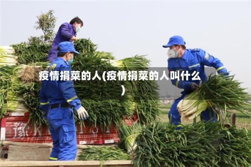 疫情捐菜的人(疫情捐菜的人叫什么)