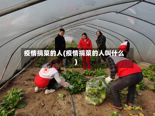 疫情捐菜的人(疫情捐菜的人叫什么)-第2张图片