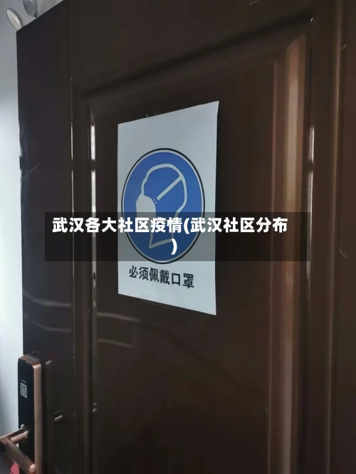 武汉各大社区疫情(武汉社区分布)-第2张图片