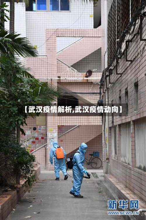 【武汉疫情解析,武汉疫情动向】