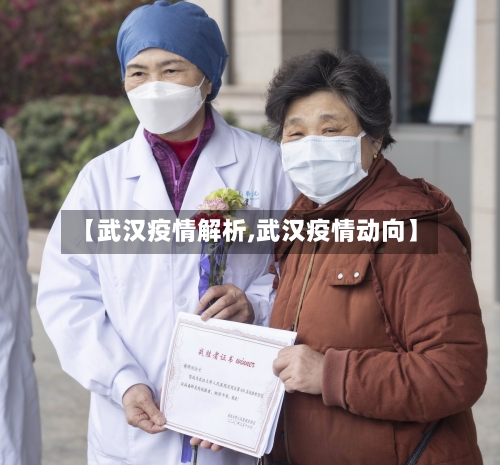 【武汉疫情解析,武汉疫情动向】-第2张图片