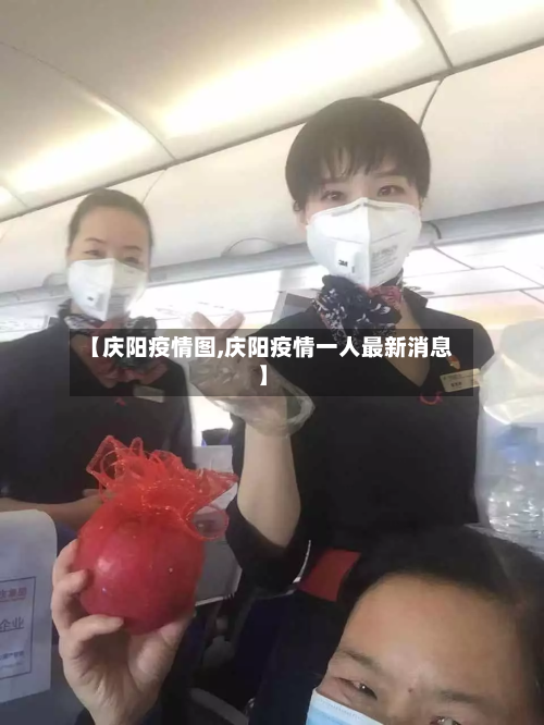 【庆阳疫情图,庆阳疫情一人最新消息】-第3张图片