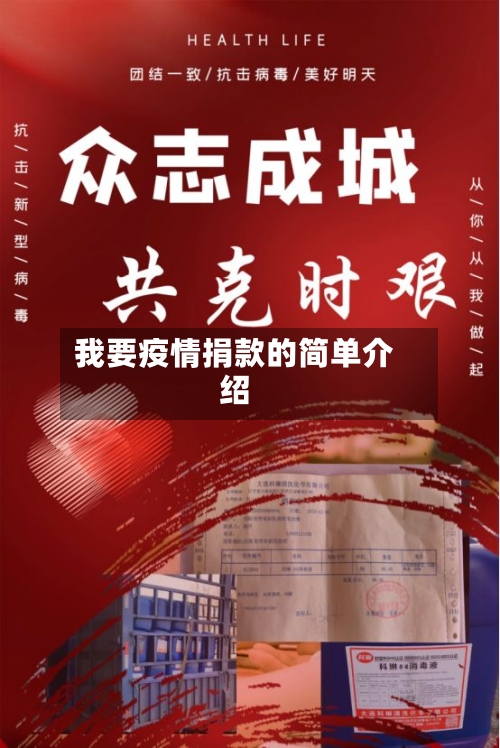 我要疫情捐款的简单介绍