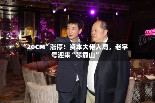 “20CM	”涨停！资本大佬入局	，老字号迎来“芯靠山”-第2张图片