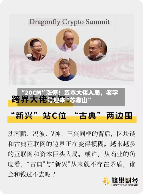 “20CM”涨停！资本大佬入局，老字号迎来“芯靠山	”-第3张图片