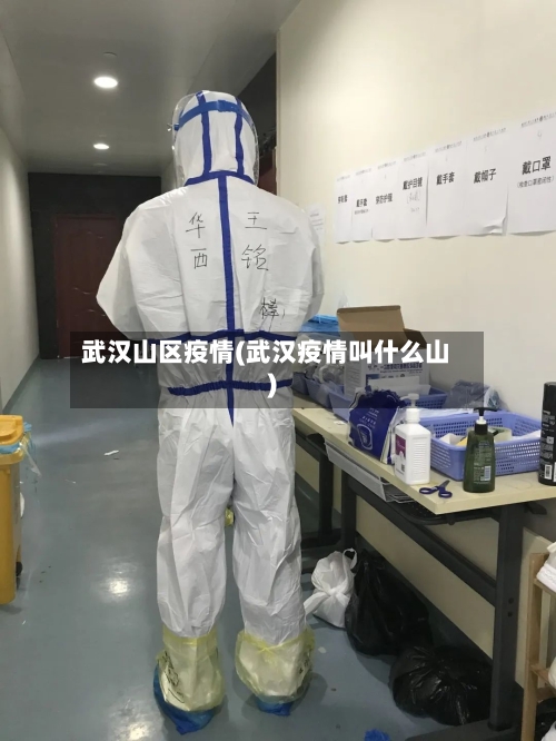 武汉山区疫情(武汉疫情叫什么山)-第2张图片