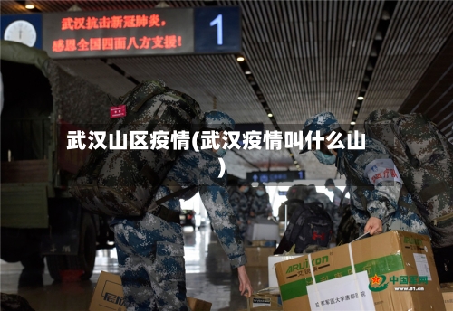 武汉山区疫情(武汉疫情叫什么山)-第3张图片