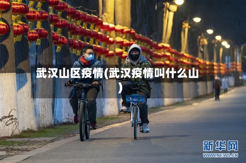 武汉山区疫情(武汉疫情叫什么山)