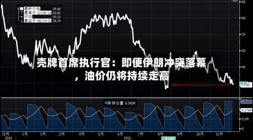 壳牌首席执行官：即便伊朗冲突落幕，油价仍将持续走高