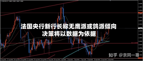 法国央行新行长称无鹰派或鸽派倾向 决策将以数据为依据