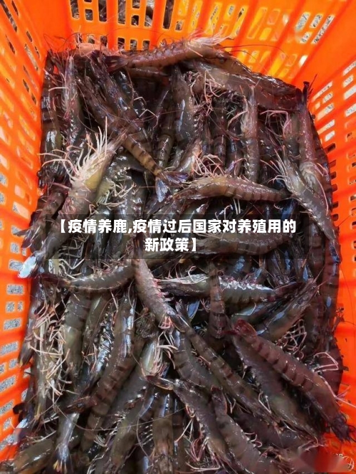 【疫情养鹿,疫情过后国家对养殖用的新政策】