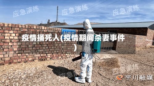 疫情捅死人(疫情期间杀妻事件)-第2张图片