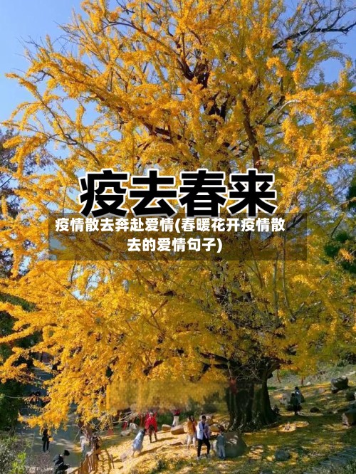 疫情散去奔赴爱情(春暖花开疫情散去的爱情句子)-第3张图片