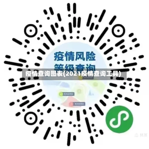 疫情查询图表(2021疫情查询工具)