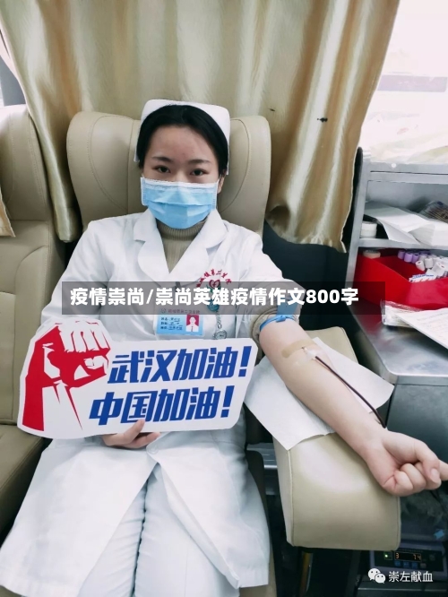 疫情崇尚/崇尚英雄疫情作文800字-第2张图片