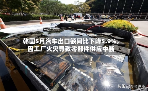 韩国5月汽车出口额同比下降5.9%，因工厂火灾导致零部件供应中断