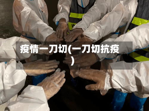 疫情一刀切(一刀切抗疫)-第2张图片