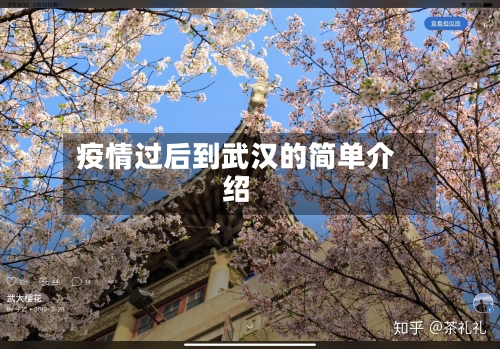 疫情过后到武汉的简单介绍