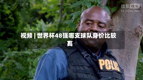 视频 | 世界杯48强哪支球队身价比较高？