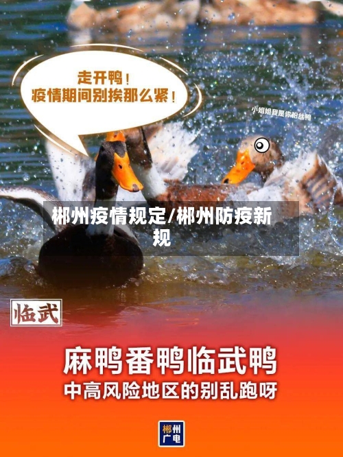 郴州疫情规定/郴州防疫新规