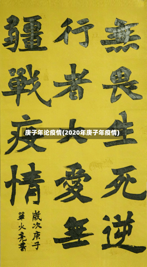 庚子年论疫情(2020年庚子年疫情)