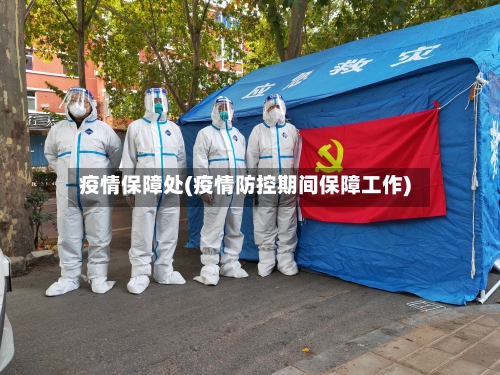 疫情保障处(疫情防控期间保障工作)-第3张图片