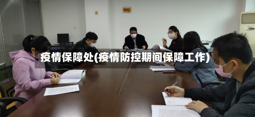 疫情保障处(疫情防控期间保障工作)