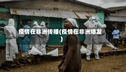 疫情在非洲传播(疫情在非洲爆发)-第3张图片