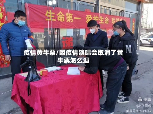 疫情黄牛票/因疫情演唱会取消了黄牛票怎么退
